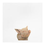 Smiling Piglet Tea Towel | Farmhouse Kitchen Animal Linen