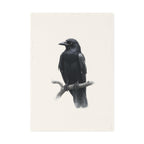 Black Crow Illustration Cotton Tea Towel | Raven Bird Art, Gothic Kitchen Decor